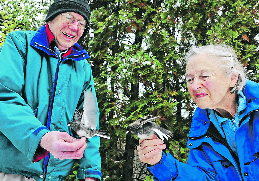 Stuart and Mary Houston were observed in 2012 releasing slate-coloured juncos, which they netted, banded, measured and weighed. Mary died in 2019.  |  William DeKay photo