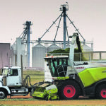 The idea of the legislative review and renewal is to adopt a risk- and outcome-based framework that protects animal health and minimizes the regulatory burden, said Animal Nutrition Association of Canada. Producers will be exempt when producing feed for their own operations. Charlie Flowers and his crew harvests silage for Rimrock Feeders near High River, Alta. | Mike Sturk photo