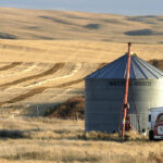 Seven per cent of the province's crop has been combined and six per cent is ready to straight combine, according to the Province of Saskatchewan's weekly crop report for the week ended Aug. 9. The five-year averages were one and two per cent, respectively. | File photo