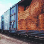 "For us, it was the psychological lift that it provided that was every bit as valuable, or even more valuable, then the hay itself," said Rob Somerville, reflecting on the 2002 Hay West program that saw eastern Canadian farmers ship hay to their western counterparts. | File photo