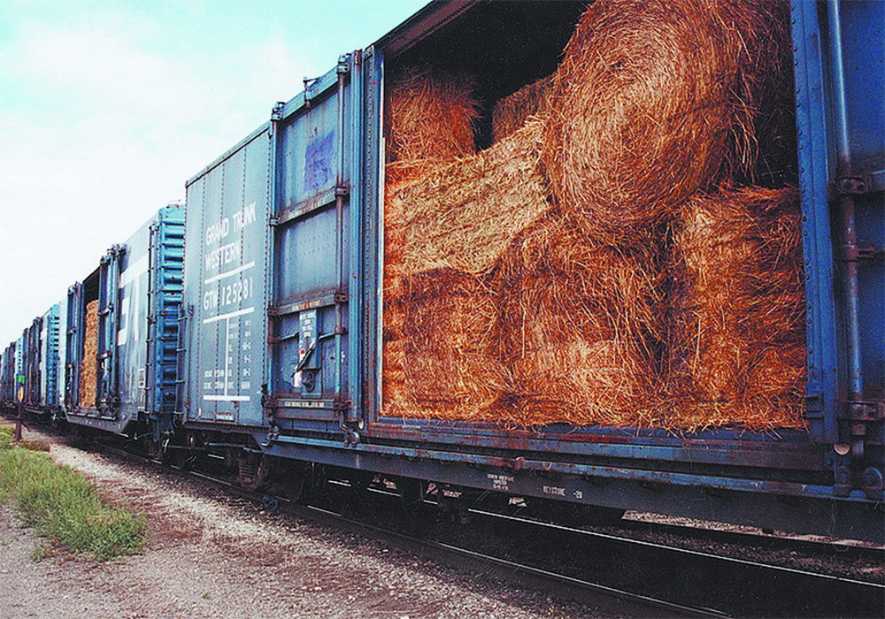 "For us, it was the psychological lift that it provided that was every bit as valuable, or even more valuable, then the hay itself," said Rob Somerville, reflecting on the 2002 Hay West program that saw eastern Canadian farmers ship hay to their western counterparts. | File photo