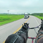 Cole and Elmo, two Percheron cross horses, needed a little practice to get them accustomed to work on busy roads and highways. | Submitted photo