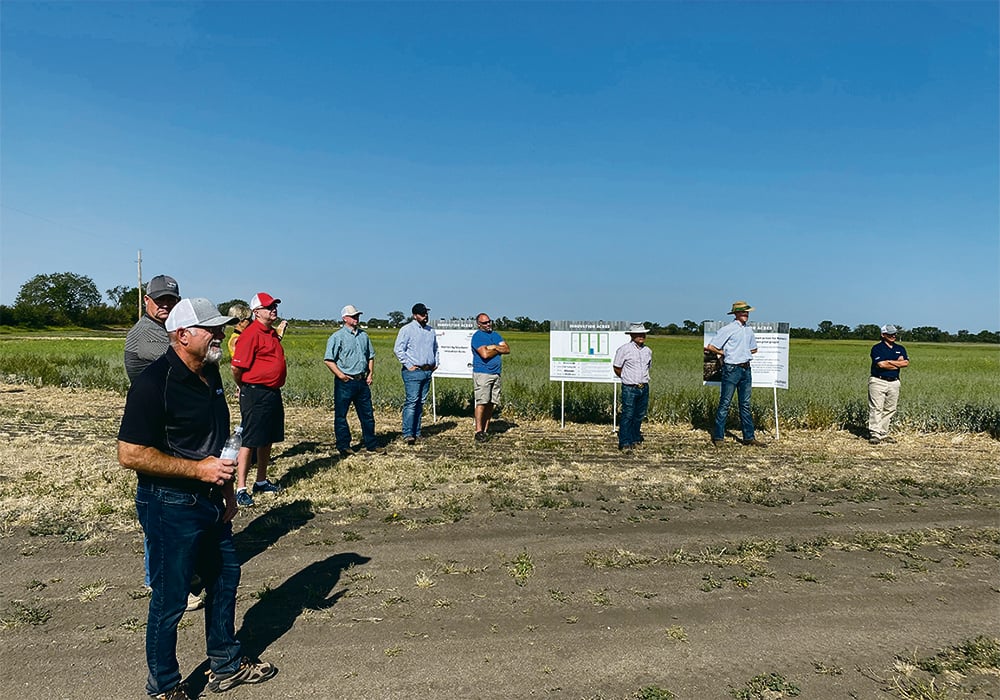 Producers attend plot tours at the Glacier FarmMedia Discovery Farm near Langham, Sask., before a general meeting of the Saskatchewan Forage Council last month.  |  GFM photo