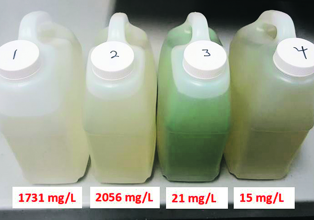 The red labels tell a story the dugout water samples don’t tell.   Samples one and two look almost clear, but have extremely high levels of dissolved sulfates. Samples three and four look pretty ugly, but they’re actually safe for cattle, says Catherine Lang, livestock feed specialist with Saskatchewan Ministry of Agriculture.  |  Saskatchewan Ministry of Agriculture photo