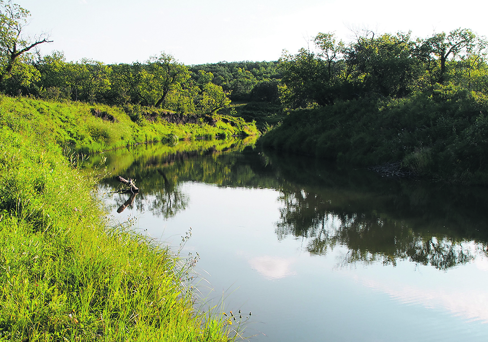 The protected property is along the Pipestone Creek in the Moose Mountain Natural Area of Saskatchewan.  |   Jason Bantle photo