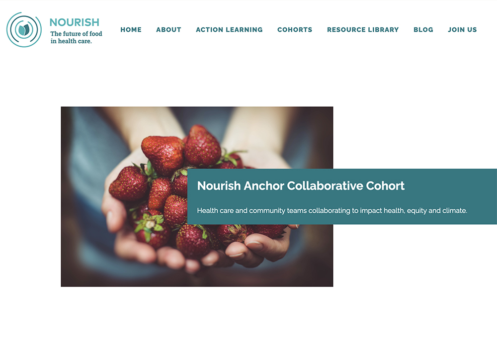 The non-profit Nourish Anchor Collaborative Cohort works to bridge food and health systems, and has been working with the Saskatchewan Health Authority, the University of Saskatchewan, and CHEP Good Food Inc., an organization trying to improve access to food. | Screencap via nourishhealthcare.ca