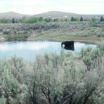 Some specific examples the government is looking to reward are the adoption of grazing management plans, interior cross-fencing systems, water system infrastructure improvements and the etsablishment of forage and legume crops. | Heather Smith Thomas photo
