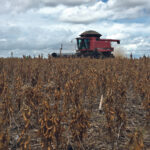 Argentina’s soybean yields can be slashed by up to 38 percent during a strong La Nina event, said Michael Cordonnier, author of the Soybean and Corn Advisor website and newsletter. | Reuters photo
