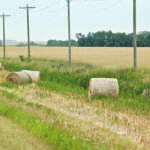 The Alberta Forage Industry Network tried to get Farming the Web running as soon as possible this summer because of producers’ need to buy and sell products such as feed. | Jeannette Greaves photo
