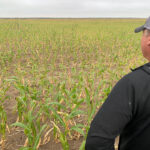 This drought has been a shock, but its impact will be long term for many farmers. | Ed White photo