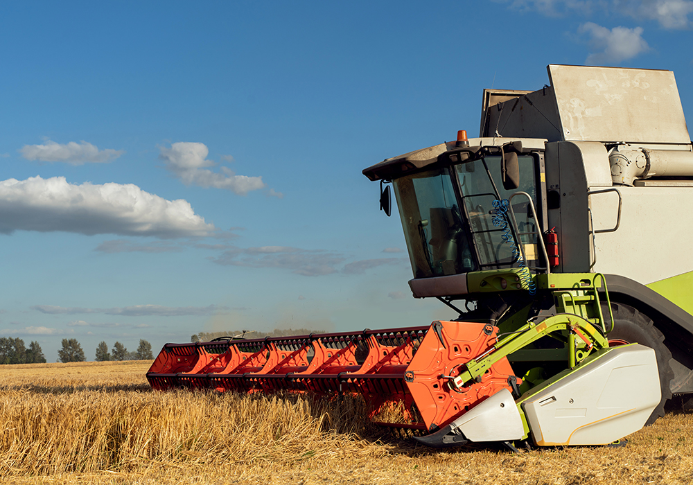 Russia is the world's largest wheat exporter, supplying it mainly to Africa and the Middle East. It has been hit by dry weather in several regions this year. | Getty Images