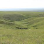 U of S researcher Jonathon Bennett and his research partners are getting soil samples from native grasslands in Saskatchewan and Alberta, ensuring they take from both normal grasslands and saline grasslands. | File photo