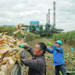 Would Canadian farmers be willing to give up exports, and the dollars that come with them, in order to stand united with the rest of the world’s democracies? | Reuters photo