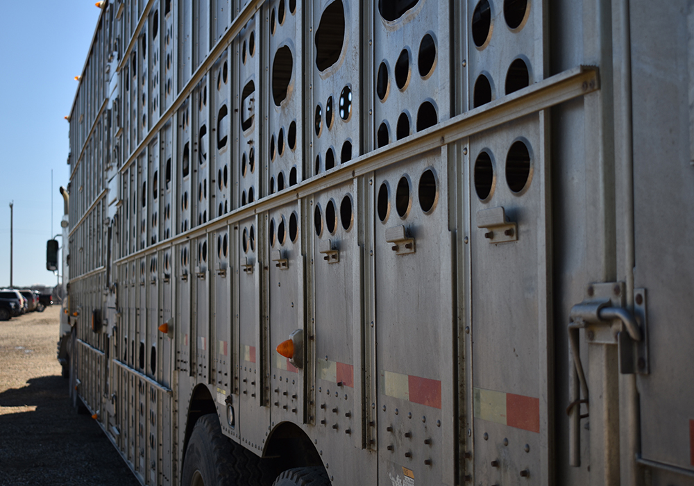 “Our message to our western counterparts is, anything we can do to help,” Nathan Phinney, a New Brunswick-based Canadian Cattlemen’s Association board member, said about the Cows East initiative.  | File photo