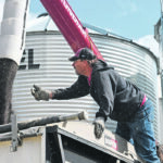 Lyle Kabatoff loads canola at the Odelein family farm near Quill Lake, Sask., that was destined for Cargill’s crushing plant at Clavet, Sask. There is concern that this year’s drought-reduced crop will mainly be used domestically, leaving foreign customers short of supply. | William DeKay photo
