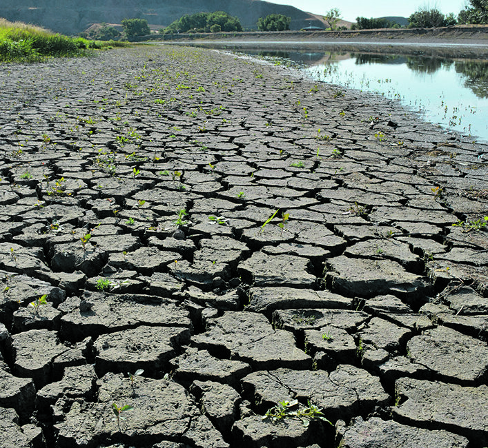 Lake Diefenbaker water levels drop this year | The Western Producer