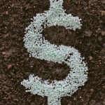 Looking after fertilizer investments by avoiding nutrient losses is alway important, but as prices rise so do the exposures to financial loss. | File illustration