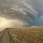Daryl Beswitherick, program manager for national inspection standards with the Canadian Grain Commission, estimates 60 to 70 percent of the prairie crop was still in the field during the late-season downpour. | Twitter/@wxamorilla7 photo