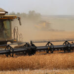First-half farm cash receipts are up 12.4 percent, but full year likely to drop due to drought. | Robin Booker photo