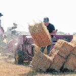 Tanya and Dwight Odelein of Quill Lake, Sask., stook freshly harvested barley straw using an old square baler. | William DeKay photo