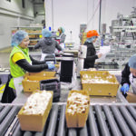 Job vacancies are increasing in the agri-food sector, including in the mushroom industry. | Reuters/Mark Blinch photo