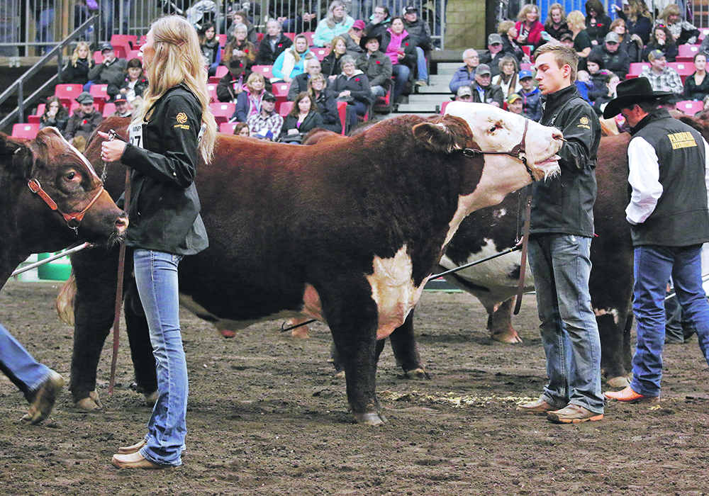 Farmfair International will be organized this year by Explore Edmonton, which took over from the now-defunct Northlands. | File photo
