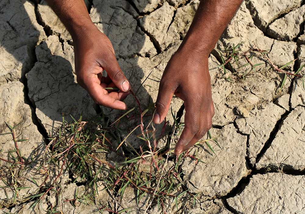 When it comes to drought the World Food Programme can educate farmers on more efficient ways to use water or on what crops or varieties to plant that are more drought tolerant. | Getty Images