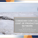 Instead of comparing to a provincial average, a beef producer can use the Cost of Production Network and find a system that’s similar to their farm. | Screencap via YouTube/Brenna Grant