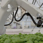 Iron Ox uses robots that are integrated with a hydroponic system consuming 90 percent less water than traditional farms, said CEO Brandon Alexander. | Screencap via ironox.com