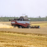 Siberia, the biggest producer of spring wheat in Russia, is harvesting its wheat crop with yields up 18 percent year on year, Sovecon said in a note. | Getty Images