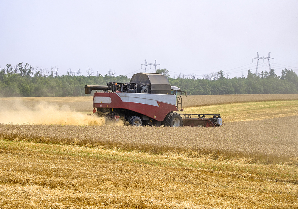 Siberia, the biggest producer of spring wheat in Russia, is harvesting its wheat crop with yields up 18 percent year on year, Sovecon said in a note. | Getty Images