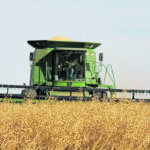 Mustard contracts could be as high as 55 to 65 cents per pound,
which a buyer for Viterra called “remarkable.” | File photo
