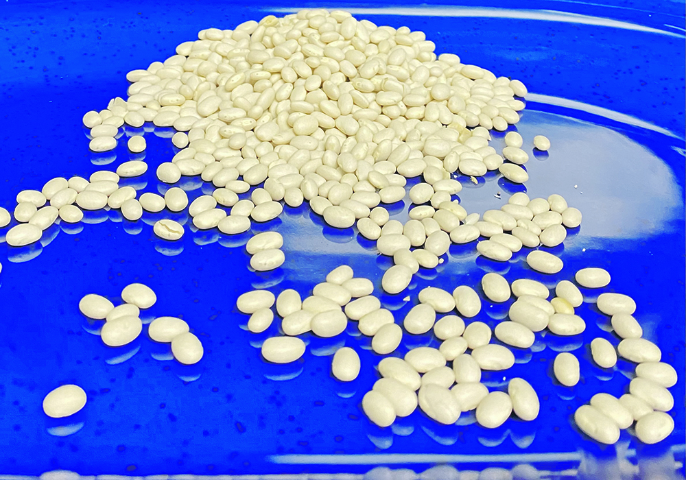 Posted bids for dry beans are climbing steadily, which could indicate that supplies "aren't as plentiful as some of the statistics might suggest." | File photo