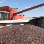 While supply of the major crops are tighter than recent experience, they are not scraping the bottom of the bin like they were in the extended market boom of 2008-13. | File photo