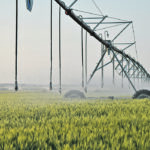 Officials say Alberta’s irrigation systems, which convey water from the rivers that form the South Saskatchewan Basin, did well this year to keep up with demand. | File photo