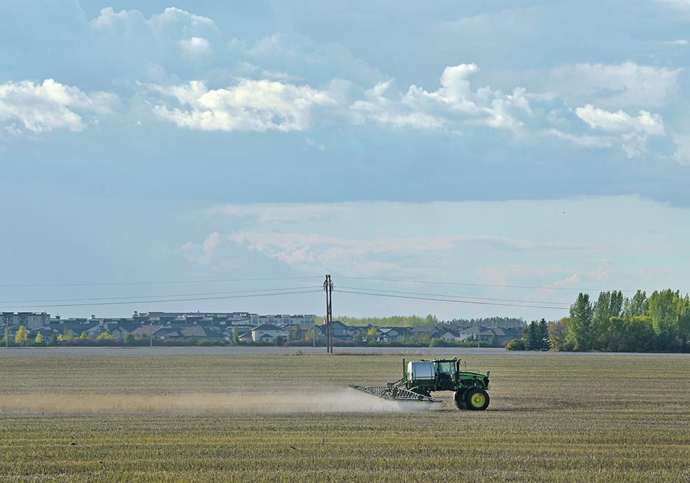 An expected expansion of the country’s major cities could mean the loss of hundreds of thousands of acres of prime farmland. | File photo