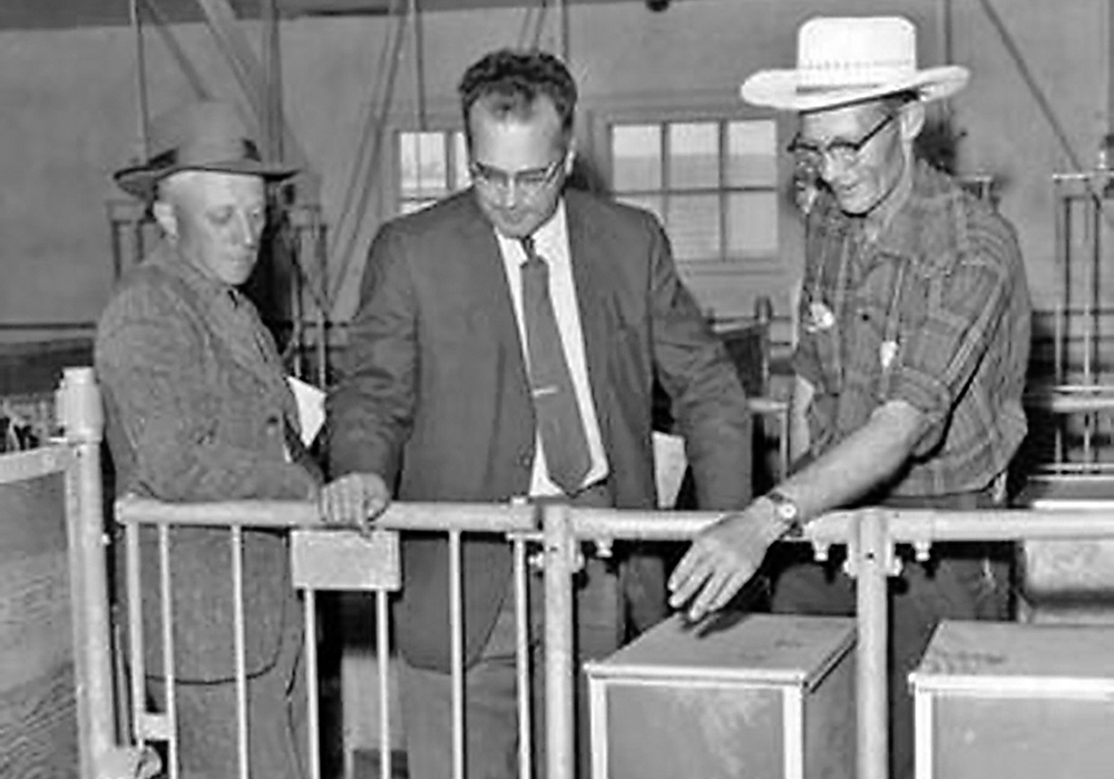 Milt Bell was an animal nutritionist recognized for his work in feed evaluation and swine nutrition.   |  University of Saskatchewan photo
