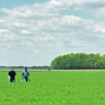 Agronomists with IN10T work with farmers and inputs companies to ensure that products can be tested at field scale. | IN10T photo