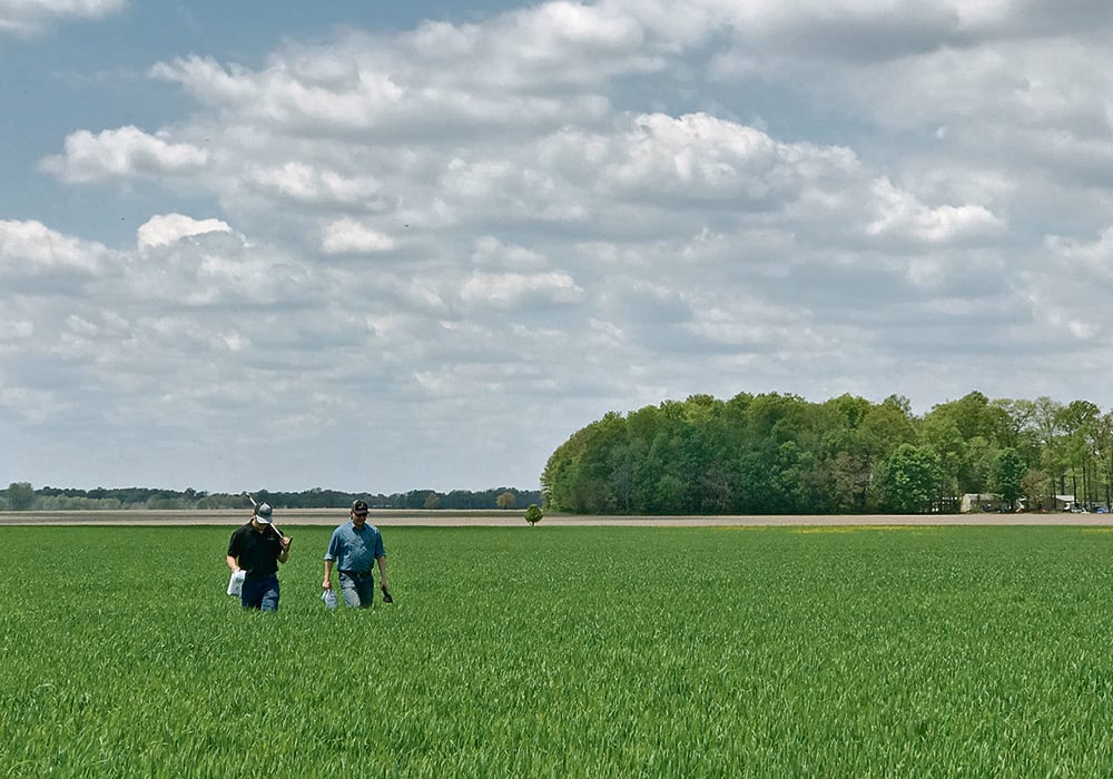 Agronomists with IN10T work with farmers and inputs companies to ensure that products can be tested at field scale.  |  IN10T photo