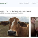 An automated facial recognition coding system uses images and videos to determine specific emotions in livestock. | Screencap via farmworx.nl