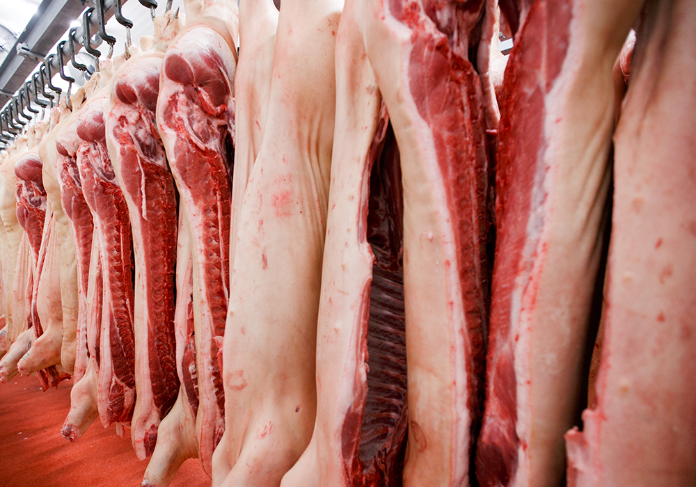 In a normal year, a $400 million drop in exports would be massive news. But Canadian exporters have found alternative markets for Canadian pork, mostly Mexico and the Philippines. | Getty Images