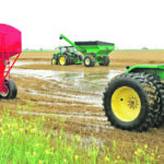 Southwestern Ontario farmers saw strong wheat yields this year, despite the wet weather. | Jeffrey Carter photo