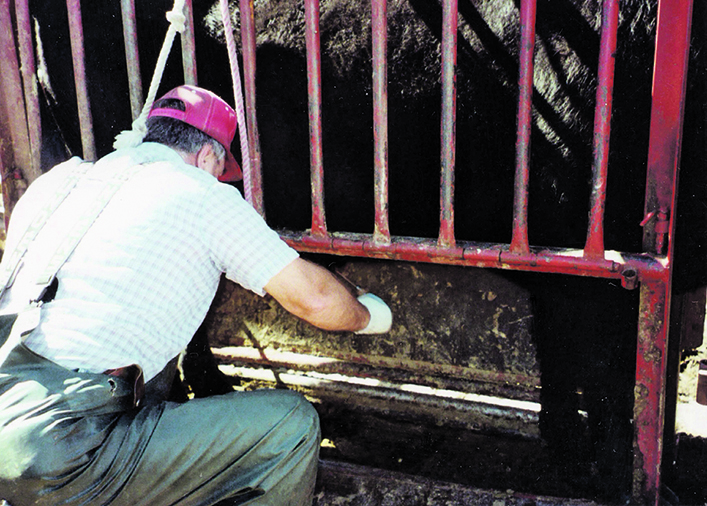 Trichomoniasis is a tricky illness to manage | The Western Producer