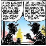 Could election money have been better spent?