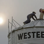 Grain prices have been highly volatile. The value of what’s in your bins is changing dramatically one week to the next. | File photo