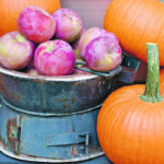 Pumpkins and apples arrive from the harvest at the same time. They make delicious and nutritious sweet and savoury recipes together. | Sarah Galvin photo