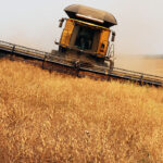 The top priority for Pulse Canada is to develop a comprehensive strategy to “own the alternative protein space” and to be central to the United Nations’ push to transform food systems. | Robin Booker photo