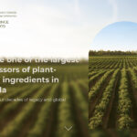 Belle Pulses, a family-owned pulse processing company based at Bellevue, Sask., has been sold to Eat Well Group Inc., a publicly traded investment company specializing in the acquisition of businesses involved in the agri-food, food technology and plant-based food sectors. | Screencap via bellepulses.ca
