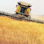 The top priority for Pulse Canada is to develop a comprehensive strategy to “own the alternative protein space” and to be central to the United Nations’ push to transform food systems. | Robin Booker photo