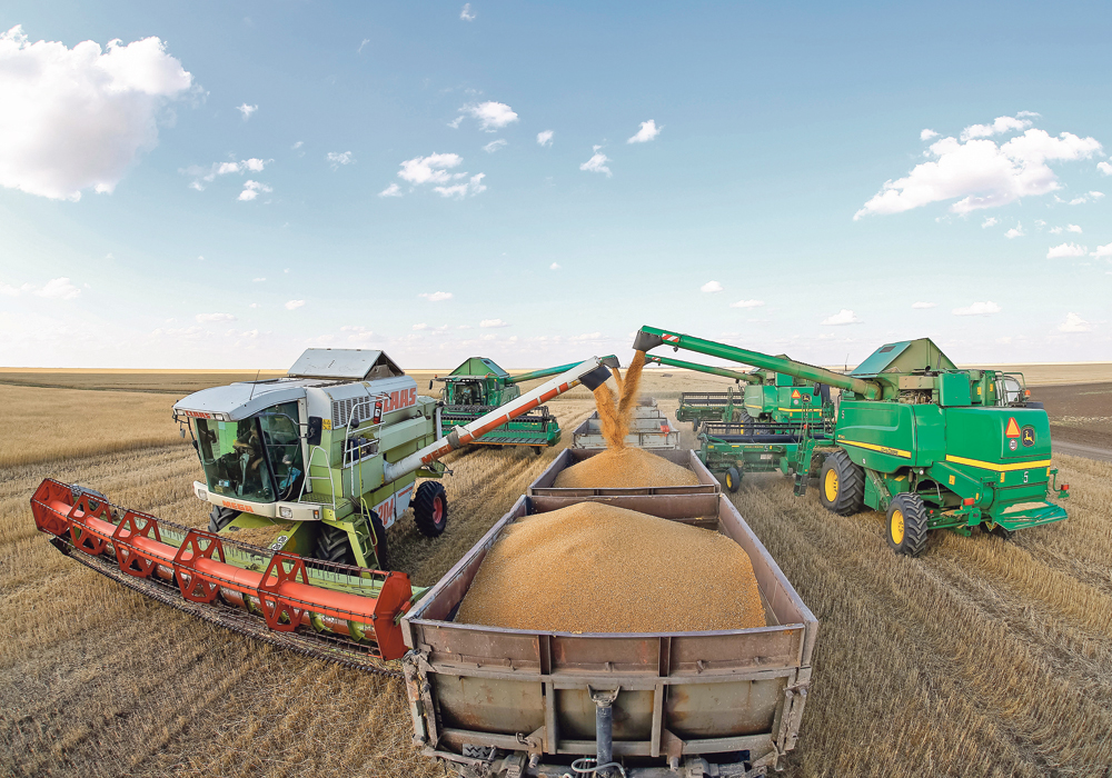 "Food security has taken centre stage after COVID-19 and Kazakhstan has great possibilities in agriculture," economy minister Aset Irgaliyev said. | Reuters/Shamil Zhumatov photo